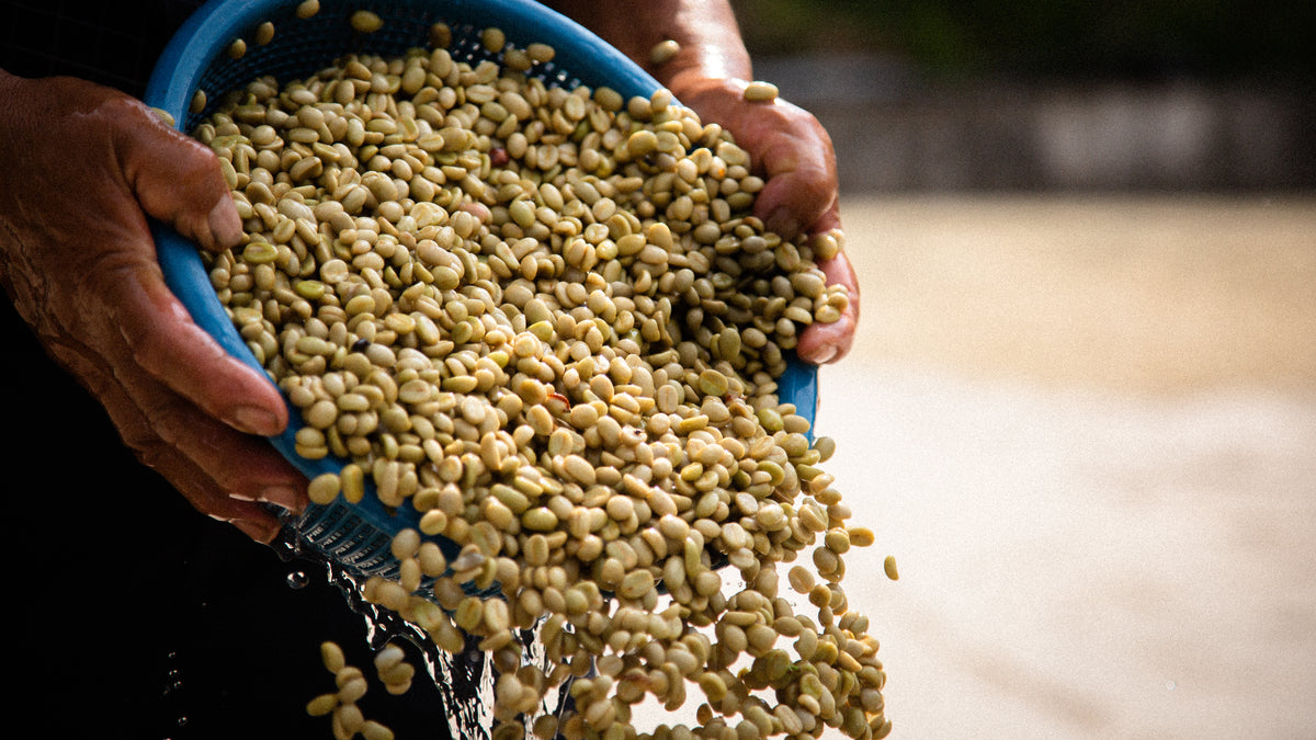 BURUNDI - DECAF (ESPRESSO)